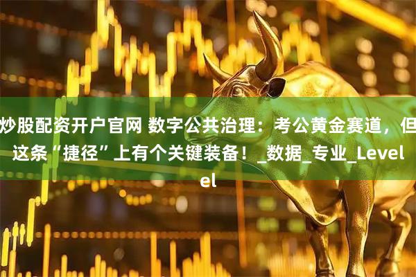 炒股配资开户官网 数字公共治理：考公黄金赛道，但这条“捷径”上有个关键装备！_数据_专业_Level